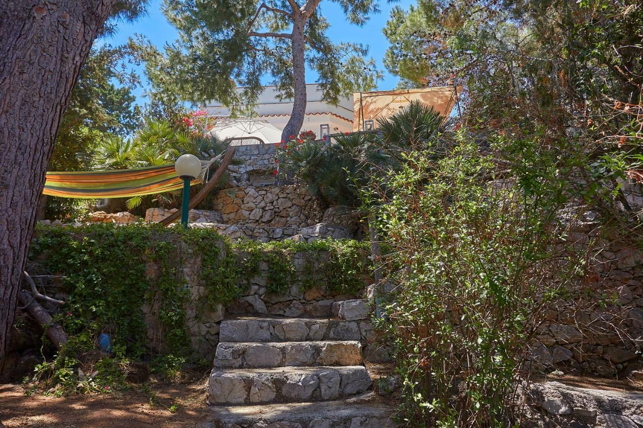בגרייה Villa Gabry מראה חיצוני תמונה